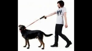 поводок для собак рулетка цена