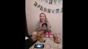 ОСЕННИЙ СБОРНИК 1 нарезка