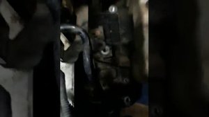 VW Jetta|| P0722: Transmission Output Speed Sensor