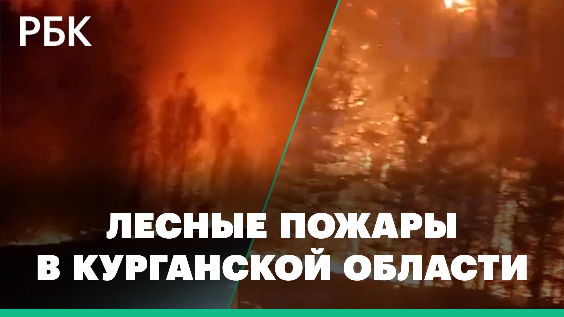 «В ад заезжаем?..». Кадры мощных лесных пожаров в Курганской области
