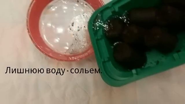 Вербена. Выращивание вербены из семян. Посев. (№1). Кратко, чётко и ясно. Verbena From Seed.
