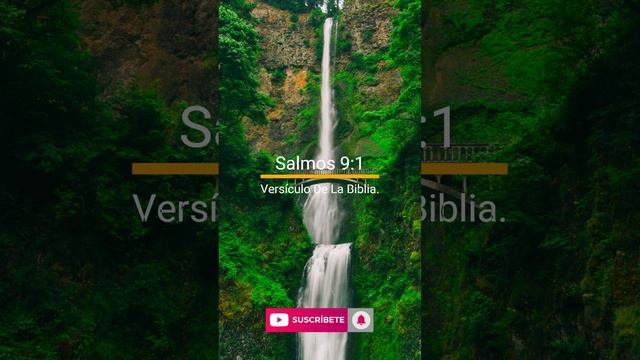 Salmos 9:1 -Versículo De La Biblia #frases #versiculodelabiblia #amor