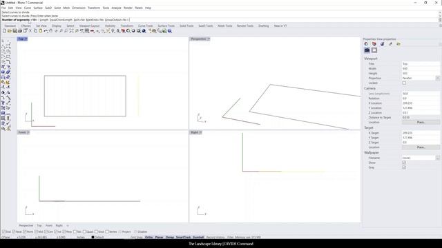17. DIVIDE | Rhino Commands for Landscape Design