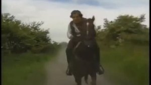 Мексиканская музыка