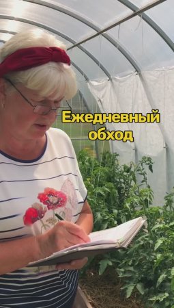 Ежедневный ритуал дачника!