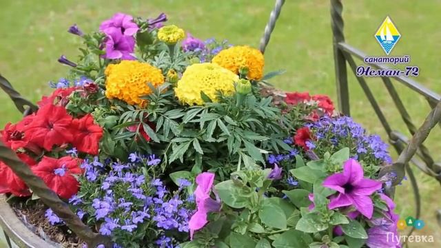 Санаторий Неман-72 (Беларусь, г. Гродно) смотреть онлайн