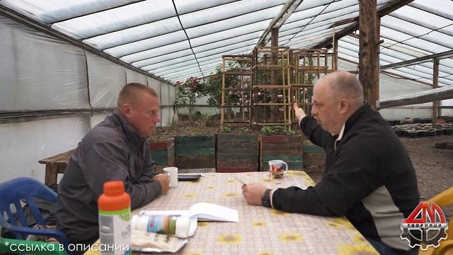 Биофунгицид Азолен для выращивания самой большой тыквы? смотреть онлайн