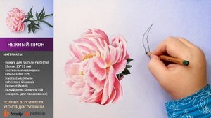 Как нарисовать пион пастельными карандашами ? Ботаника пастелью