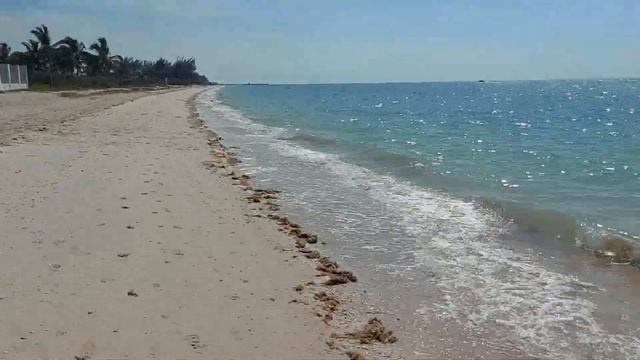 Express timelapse tour of Celestun beach -- Yucatan, Mexico смотреть онлайн