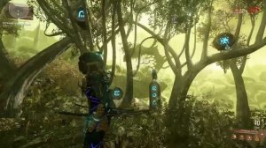 Головоломки | Дувири | Варфрейм | warframe