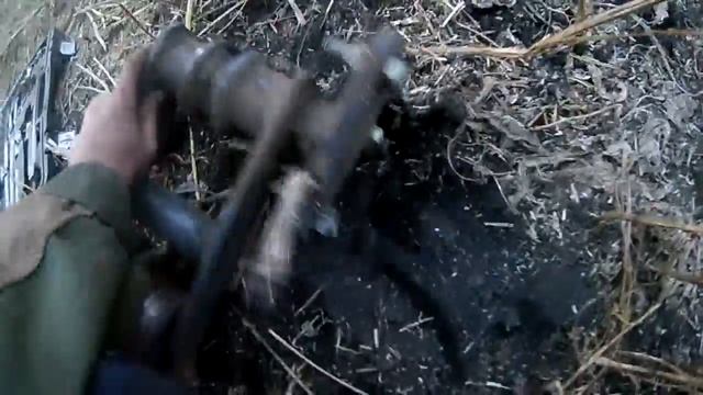 Обмолот Рапса Комбайн GS 12 Палессе смотреть онлайн