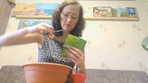 СЕЕМ 7 ТРАВ ДЛЯ КОШЕК, СОБАК, ГРЫЗУНОВ, ПТИЦ, ХОРЬКОВ. ЧТО ВЫРОСЛО