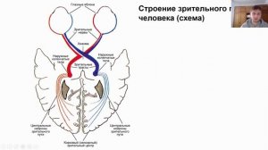 Павленко Н.В._Видеолекция