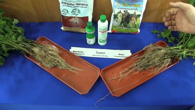 Опыт № 536 Космические томаты смотреть онлайн