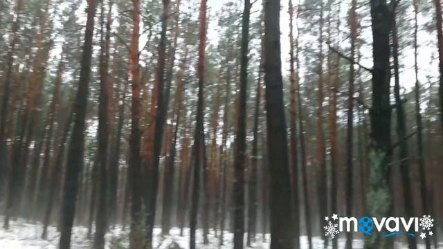 Флп 3:20: "Наше же жительство — на небесах, откуда мы ожидаем и Спасителя, Господа нашего Иисуса Хр смотреть онлайн