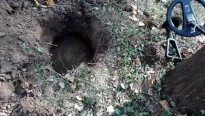 Minelab X-Terra 505 - Something interesting