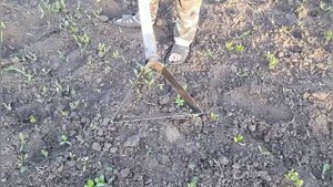 Плоскорез из ленточной пилы.