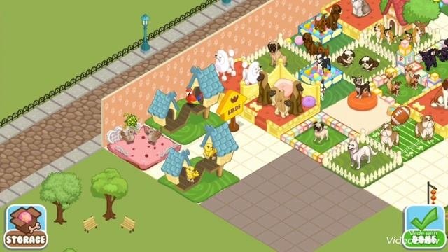 Buying New Pet In Pet Shop Story