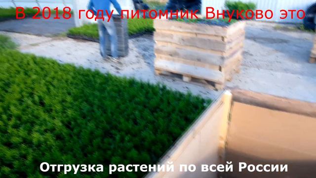 Внуково 2018 смотреть онлайн