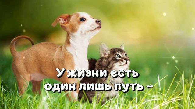 Хорошего дня! Музыкальная открытка хорошего дня