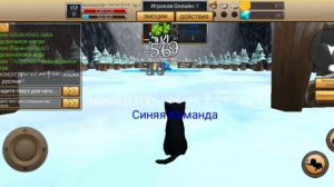 Советы и лайфхаки для игроков с 1-10 ур в Cat simulator animal life)