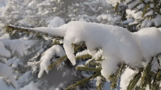 Зимние зарисовки.mpg