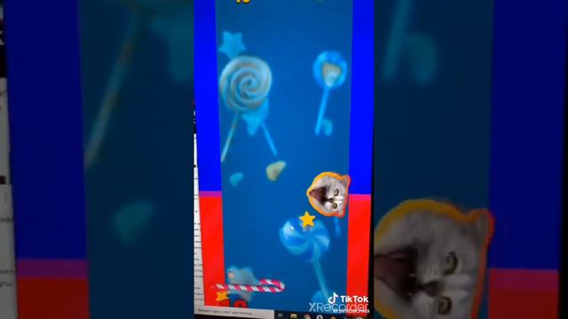 Игра Симбы Candy cat.