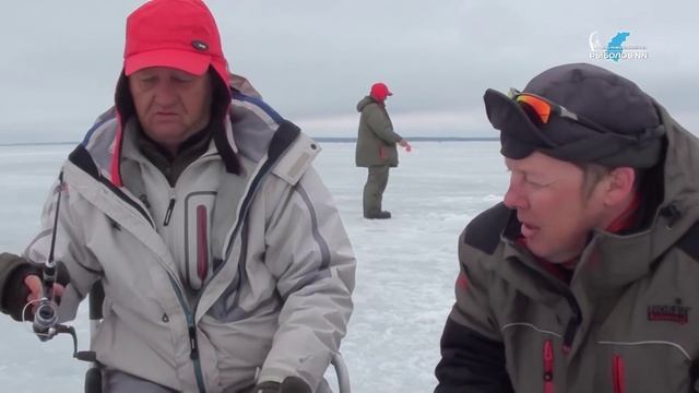 Ловля судака на Горьковском море
