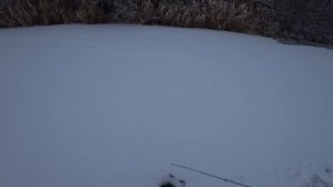 Зимняя рыбалка. Окунь Дуреет от этой Приманки. Рыбалка зимой на окуня 2018-2019