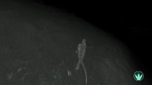 ЖИЗНЬ И ВЗРОСЛЕНИЕ РЕКСА ( The Isle )