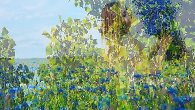 ОСЫПАЕТСЯ ЖАСМИН Исполняет Елена Саларёва смотреть онлайн