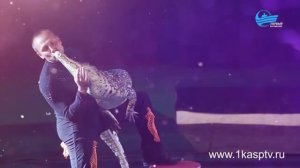 с 30 декабря цирк Галактика приглашает всех на грандиозное новогоднее шоу