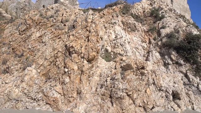 Посещение Анамуриума 06.02.22 смотреть онлайн