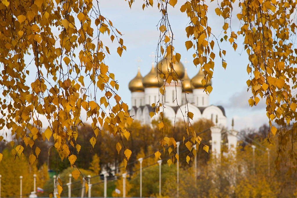 Осенние православные картинки. Ярославль Золотая Церковь осень. Храмы осень 2022 Ярославль. Ярославль осень собор. Россия берёзы православный храм.