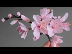 Цветы из бумаги своими руками: Сакура из гофрированной бумаги, МК
