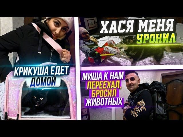 Крикушу отправили в КраснодарМиша приехал к нам. Бесимся с Хасей