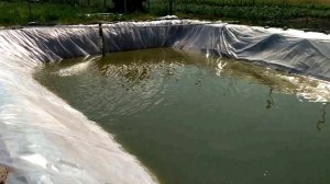 УКЛАДКА ПЛЕНКИ ДЛЯ ПРУДА! С ВОДОЙ И РЫБОЙ!!!