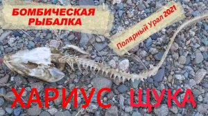 Бомбическая рыбалка на Хариуса и Щуку на Полярном Урале 2021