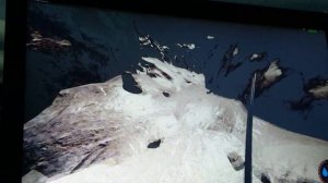 Гайд найти катану и сигнальный пистолет  в The Forest