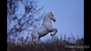 ~|Фото фигурок| Ноябрь 2019|~