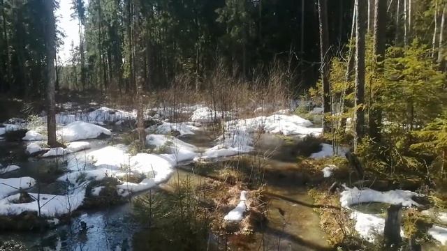 Любимая подарила участок!!! смотреть онлайн