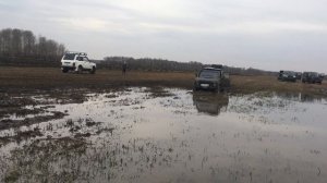 Нива резина cooper 31”