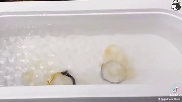 Ультразвуковой очиститель смотреть онлайн