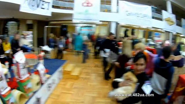 5, Выставка кошек, Харьков, ДК ХТЗ, 14 15 декабря, 2019, WCF, Best смотреть онлайн