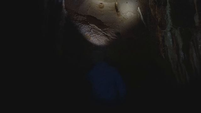 Новый год в сказке 2023 смотреть онлайн