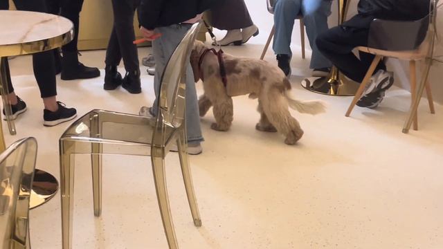 день№4/5/6: прогулки, лагман, осень ? смотреть онлайн