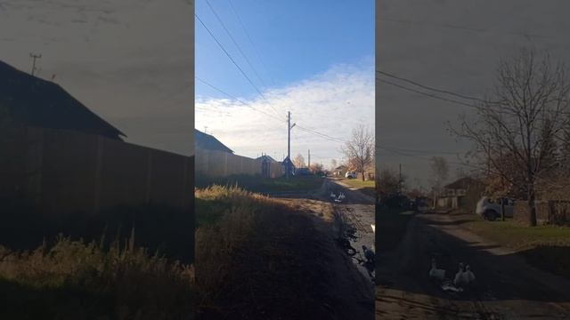 Здравствуйте? наша деревенская жизнь✋? на связи ? у нас праздник??? смотреть онлайн