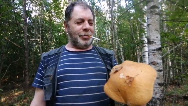 и снова грибы....они нам уже снятся) смотреть онлайн