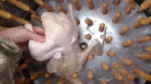 Утка в перосъёмной машине NT 600