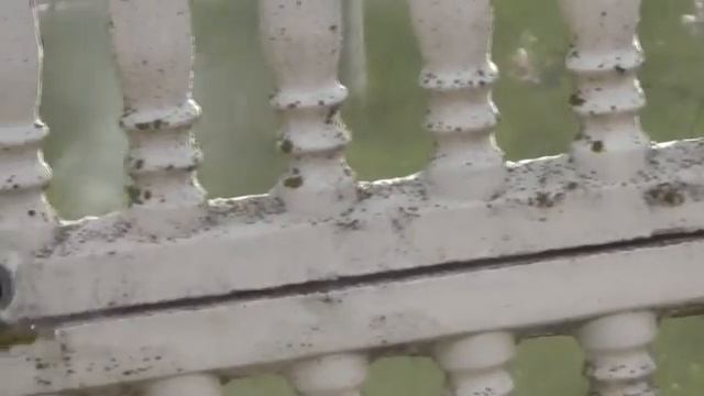 Мойка железабетонного забора Керхером К5 смотреть онлайн